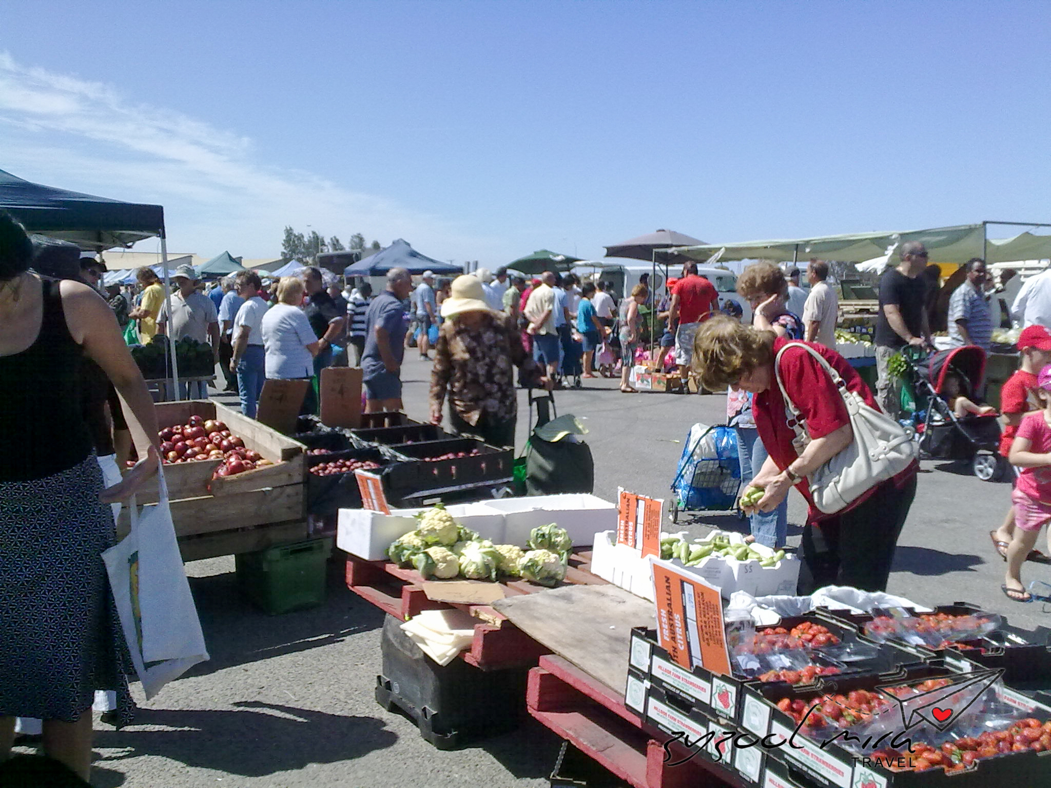 Read more about the article Membawa diri ke Adelaide, Australia