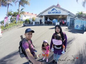 Read more about the article Hari ke-5 seharian di Sea World, Gold Coast Australia