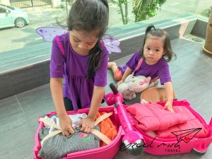 Read more about the article Review: Skoot Ride On Suitcase