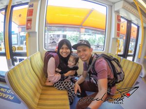 Read more about the article Gold Coast: Go Card or Go Explore?