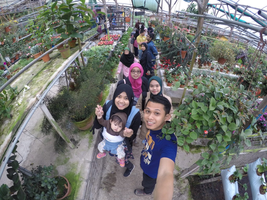 Malaysian Family Travel Strawberry Farm