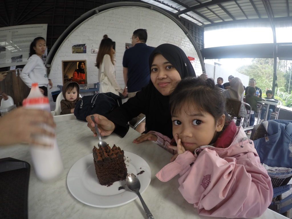 Tempat Menarik Cameron Highlands