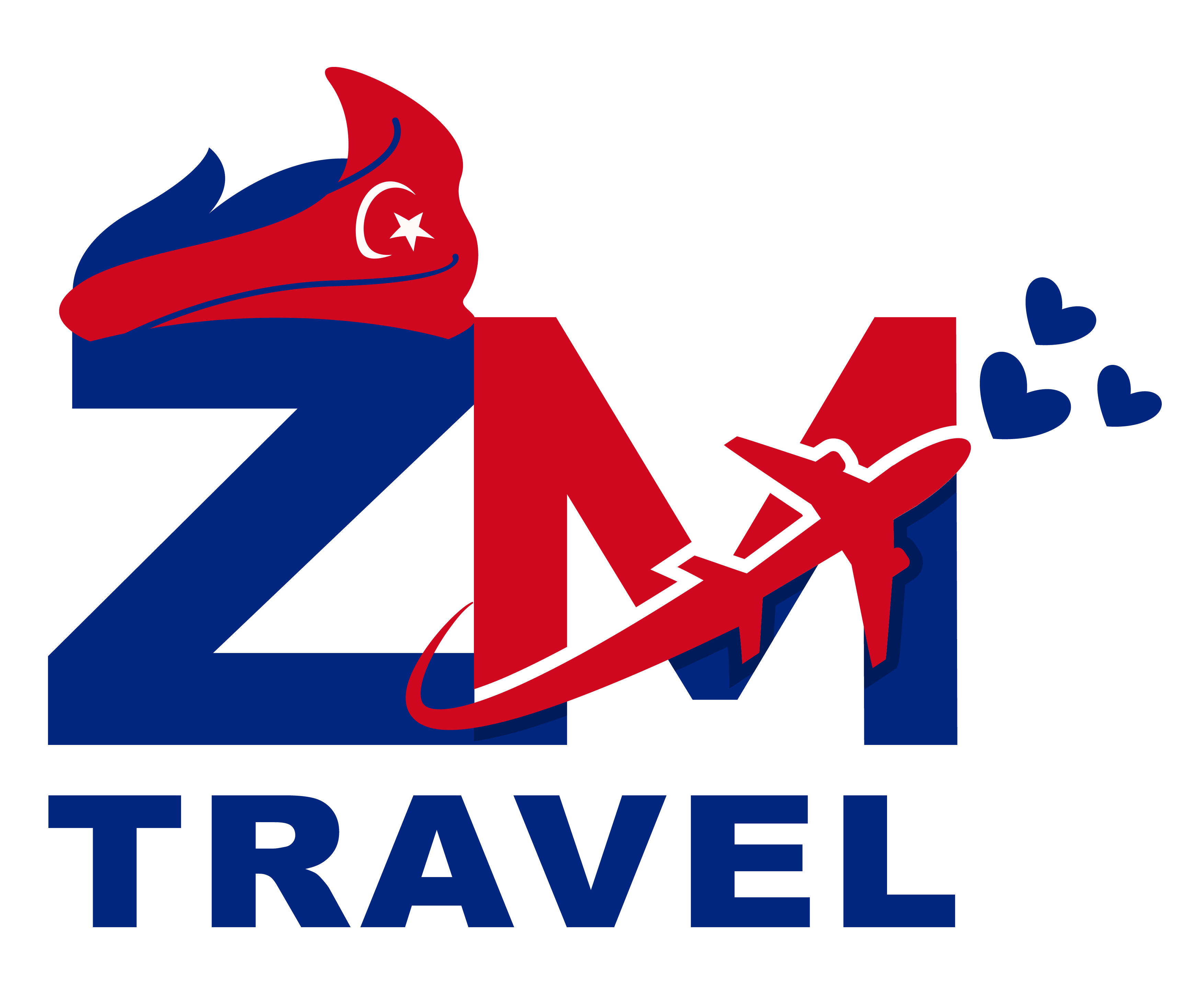 logo zmt jdt brooch